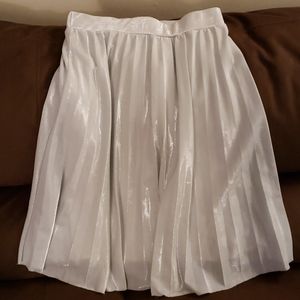 Shimmery Silver Skirt